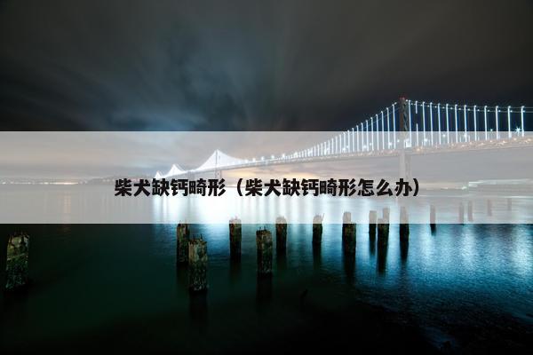 柴犬缺钙畸形（柴犬缺钙畸形怎么办）
