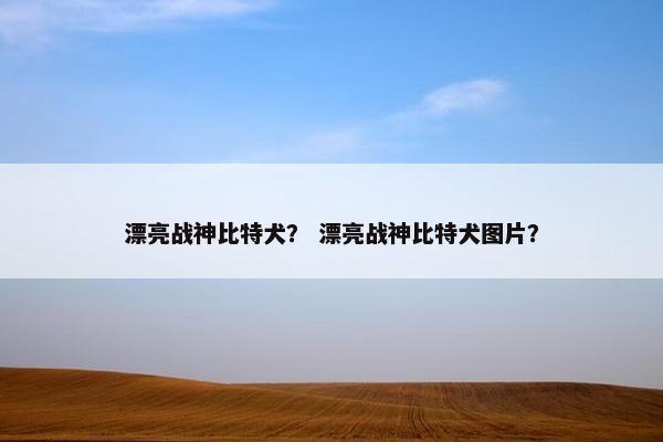 漂亮战神比特犬？ 漂亮战神比特犬图片？