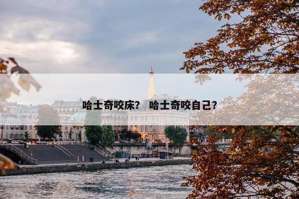 哈士奇咬床？ 哈士奇咬自己？
