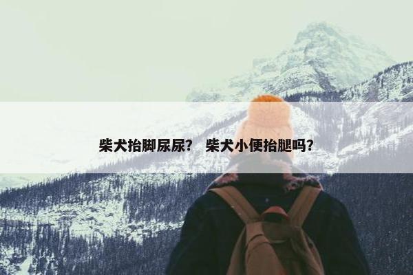 柴犬抬脚尿尿？ 柴犬小便抬腿吗？