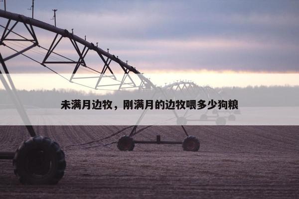 未满月边牧，刚满月的边牧喂多少狗粮