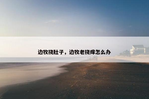 边牧挠肚子，边牧老挠痒怎么办