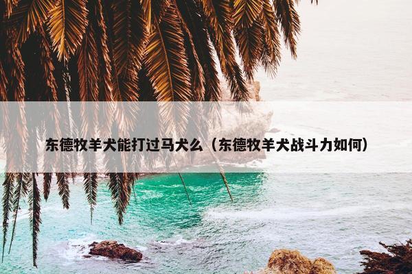 东德牧羊犬能打过马犬么（东德牧羊犬战斗力如何）