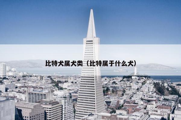 比特犬属犬类（比特属于什么犬）