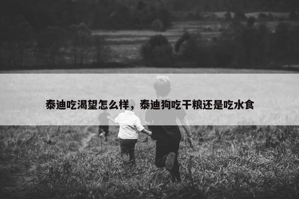 泰迪吃渴望怎么样，泰迪狗吃干粮还是吃水食