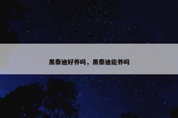 黑泰迪好养吗，黑泰迪能养吗