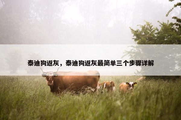 泰迪狗返灰，泰迪狗返灰最简单三个步骤详解