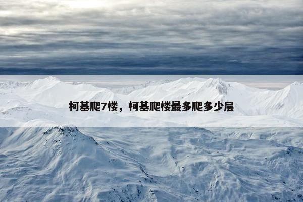 柯基爬7楼，柯基爬楼最多爬多少层