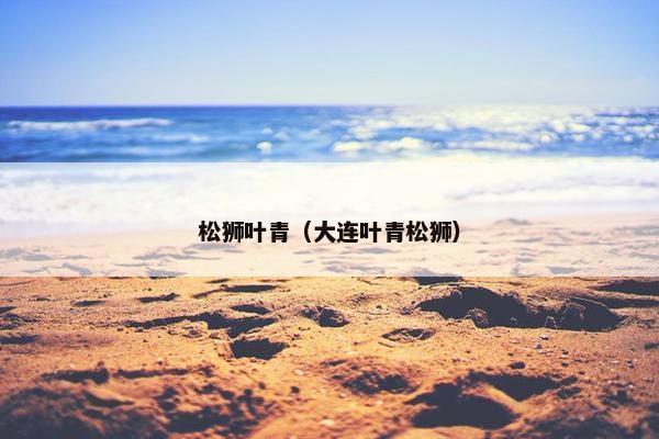 松狮叶青（大连叶青松狮）