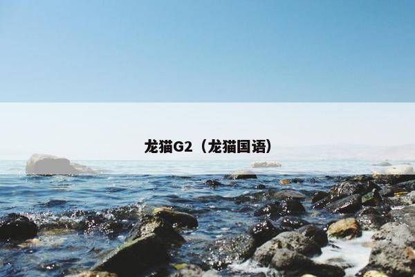 龙猫G2（龙猫国语）