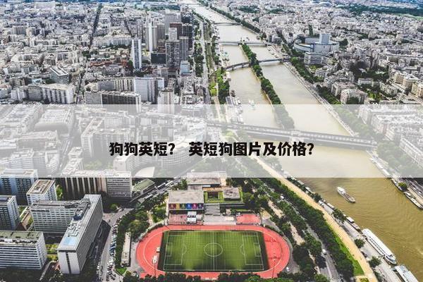 狗狗英短？ 英短狗图片及价格？