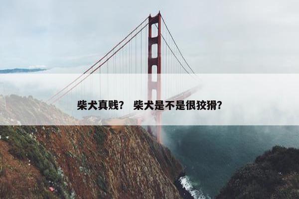 柴犬真贱？ 柴犬是不是很狡猾？