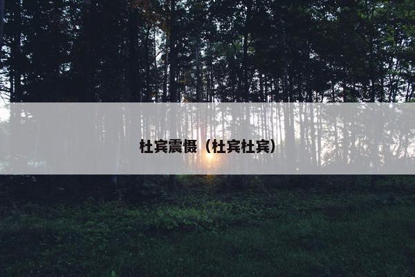 杜宾震慑（杜宾杜宾）