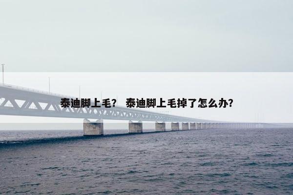 泰迪脚上毛？ 泰迪脚上毛掉了怎么办？