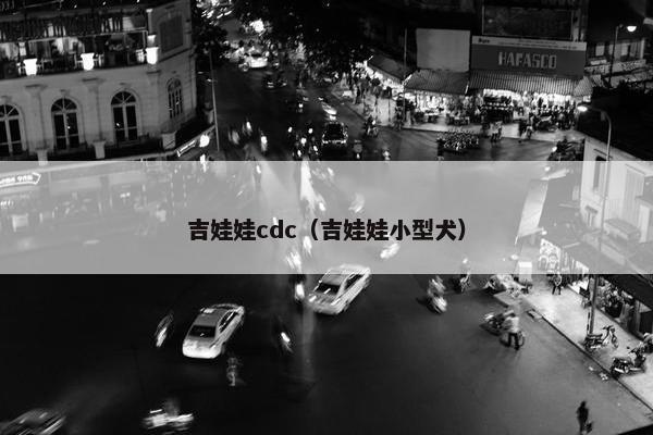 吉娃娃cdc（吉娃娃小型犬）