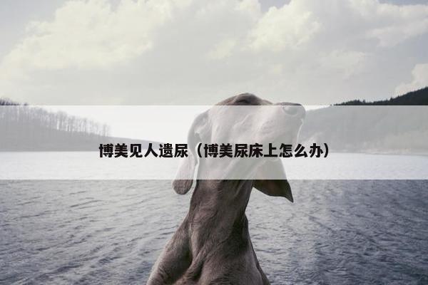 博美见人遗尿（博美尿床上怎么办）