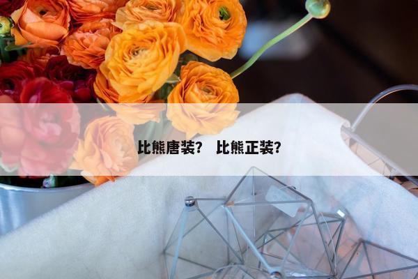 比熊唐装？ 比熊正装？