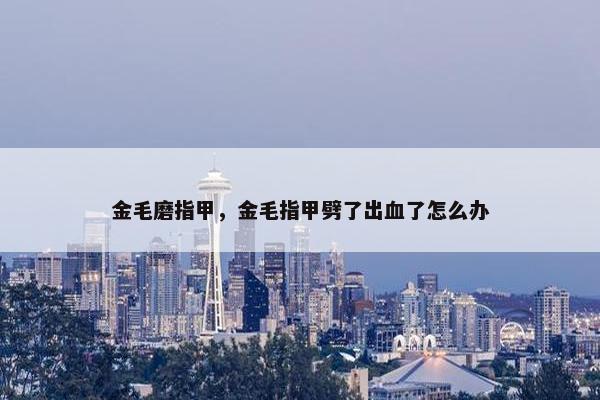 金毛磨指甲，金毛指甲劈了出血了怎么办