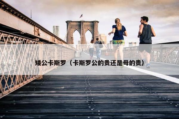 矮公卡斯罗（卡斯罗公的贵还是母的贵）