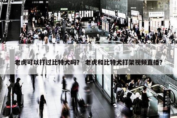老虎可以打过比特犬吗？ 老虎和比特犬打架视频直播？
