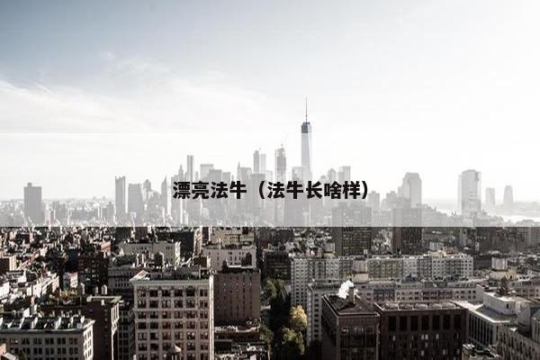 漂亮法牛（法牛长啥样）
