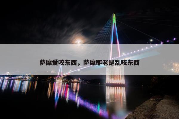 萨摩爱咬东西，萨摩耶老是乱咬东西
