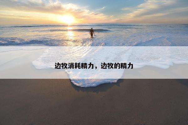 边牧消耗精力，边牧的精力