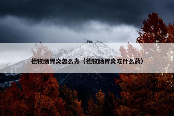 德牧肠胃炎怎么办（德牧肠胃炎吃什么药）