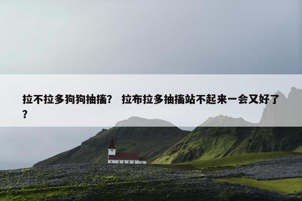 拉不拉多狗狗抽搐？ 拉布拉多抽搐站不起来一会又好了？
