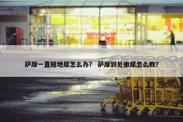 萨摩一直随地尿怎么办？ 萨摩到处撒尿怎么教？