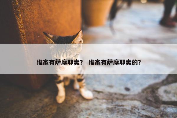 谁家有萨摩耶卖？ 谁家有萨摩耶卖的？
