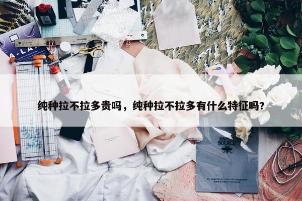 纯种拉不拉多贵吗，纯种拉不拉多有什么特征吗?