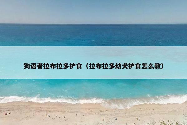 狗语者拉布拉多护食（拉布拉多幼犬护食怎么教）