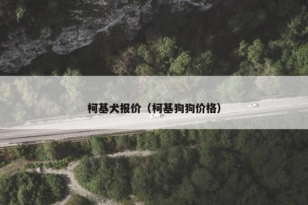 柯基犬报价（柯基狗狗价格）