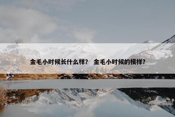 金毛小时候长什么样？ 金毛小时候的模样？
