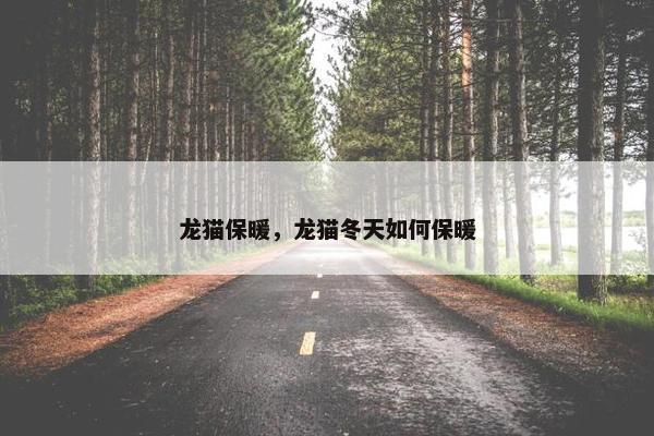 龙猫保暖，龙猫冬天如何保暖