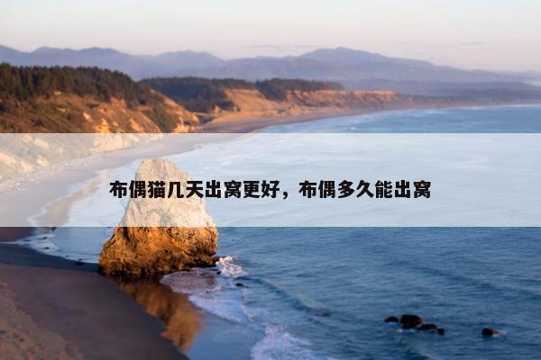 布偶猫几天出窝更好，布偶多久能出窝