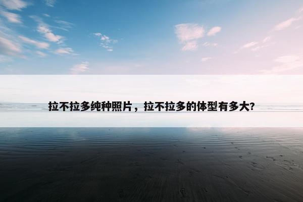 拉不拉多纯种照片，拉不拉多的体型有多大?
