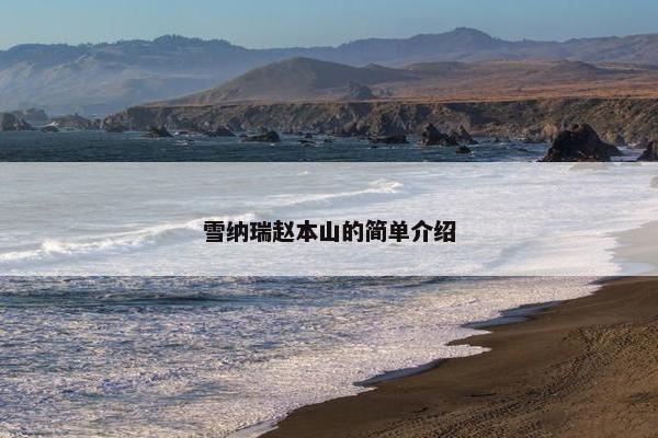 雪纳瑞赵本山的简单介绍