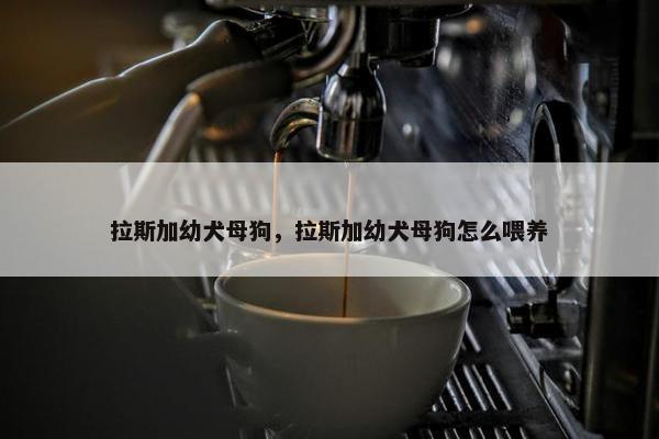 拉斯加幼犬母狗，拉斯加幼犬母狗怎么喂养