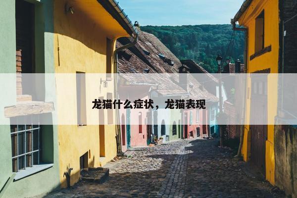 龙猫什么症状，龙猫表现