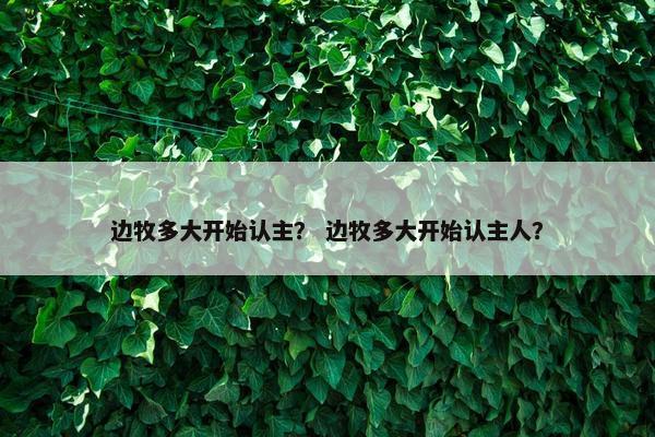 边牧多大开始认主？ 边牧多大开始认主人？