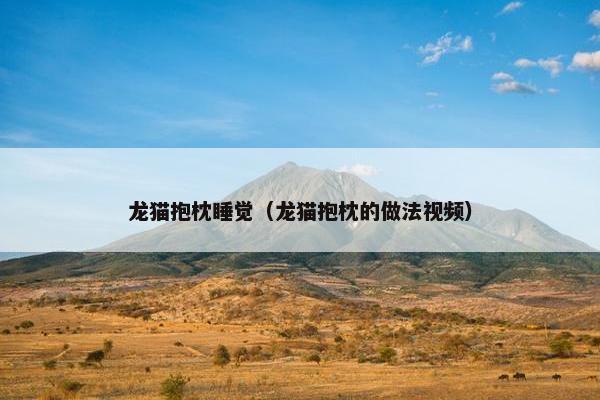 龙猫抱枕睡觉（龙猫抱枕的做法视频）