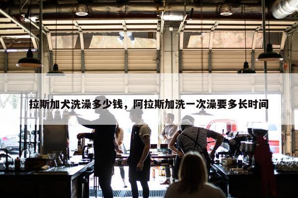 拉斯加犬洗澡多少钱，阿拉斯加洗一次澡要多长时间