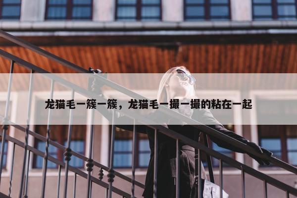 龙猫毛一簇一簇，龙猫毛一撮一撮的粘在一起
