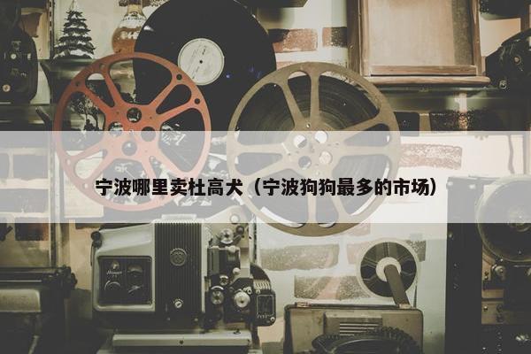 宁波哪里卖杜高犬（宁波狗狗最多的市场）