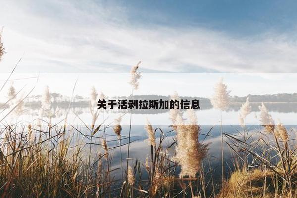 关于活剥拉斯加的信息