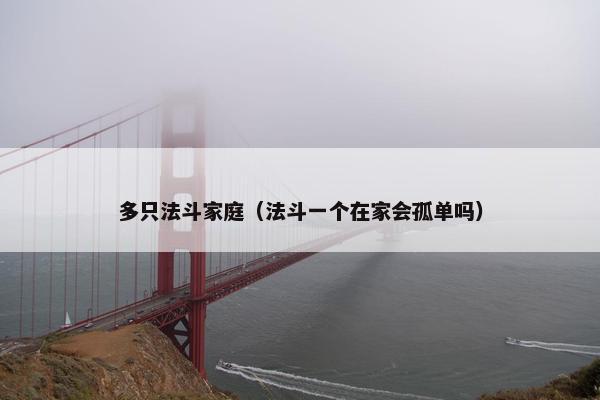 多只法斗家庭（法斗一个在家会孤单吗）