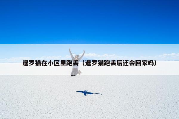 暹罗猫在小区里跑丢（暹罗猫跑丢后还会回家吗）