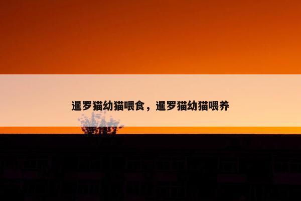 暹罗猫幼猫喂食，暹罗猫幼猫喂养